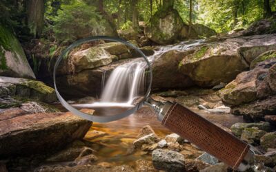 Kriminalroman Siebo Woydt