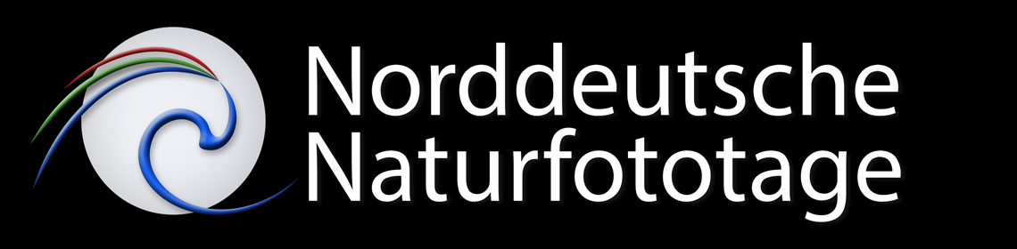 Veranstaltungen Bürgersaal Waren (Müritz)