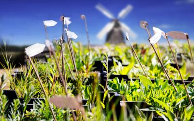 Veranstaltung Alt Schwerin