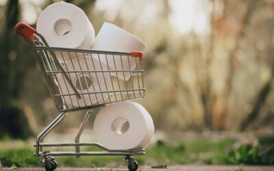 Einkaufen Waren (Müritz)