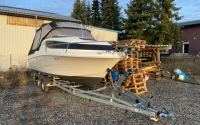 Bootsdiebstahl Waren (Müritz)