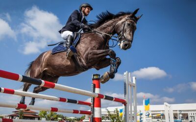 Springreiten in Göhren-Lebbin
