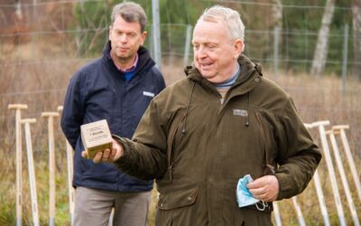 Klimawald „Fleesensee“ WEMAG-Baumpflanzaktion