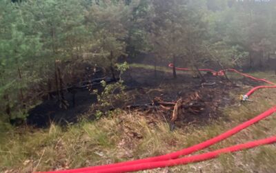 Waldbrandwarnstufen Mecklenburg-Vorpommern