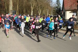 Laufveranstaltung Waren (Müritz)