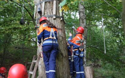 Kletterwald Waren (Müritz)