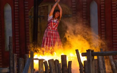 Müritz Saga vor Besucherrekord