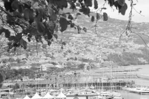 29 deutsche Urlauber ums Leben gekommen