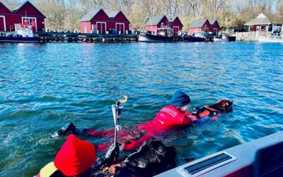 DRK Fackellauf Mecklenburg-Vorpommern