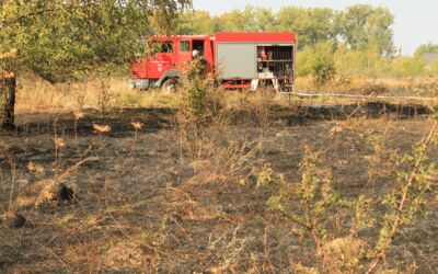 Freiwillige Feuerwehr Rechlin