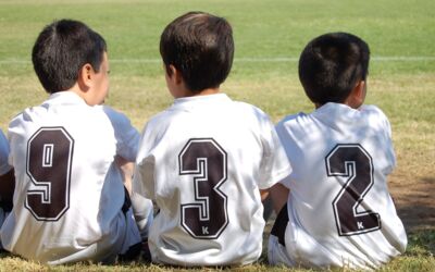 Fußball-Europameisterschaft