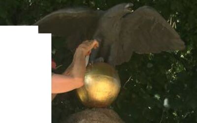 Polizei Röbel/Müritz