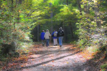 Wanderstrecken in Waren (Müritz) Mecklenburgische Seenplatte