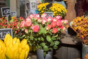 Mindestlohn in Blumenläden