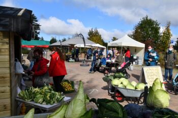 Nachhaltigkeitsmarkt in Stuer
