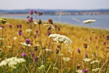 Wanderungen Mecklenburg-Vorpommern