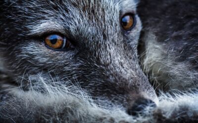 Fotoservice Ausstellung AC-Foto Team