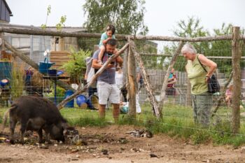Tierpark Grabowhöfe