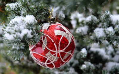 Weihnachtsbaum Müritzregion kaufen