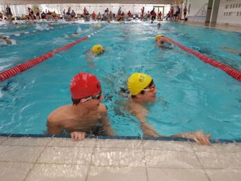 12-Stunden-Schwimm in Greifswald