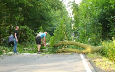 Verkehrsbehinderung bei Kargow