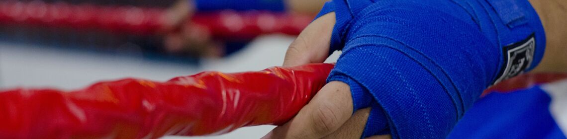 Boxsport Waren Müritz