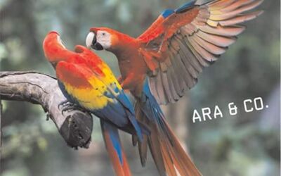 Exotenausstellung in Waren (Müritz)