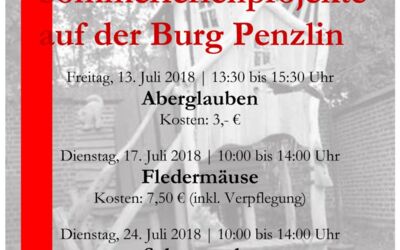 Ferienprojekte auf der Burg Penzlin