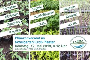 Pflanzenverkauf im Schulgarten Groß Plasten