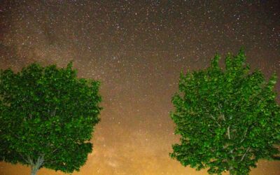 Sternfotografie Müritz