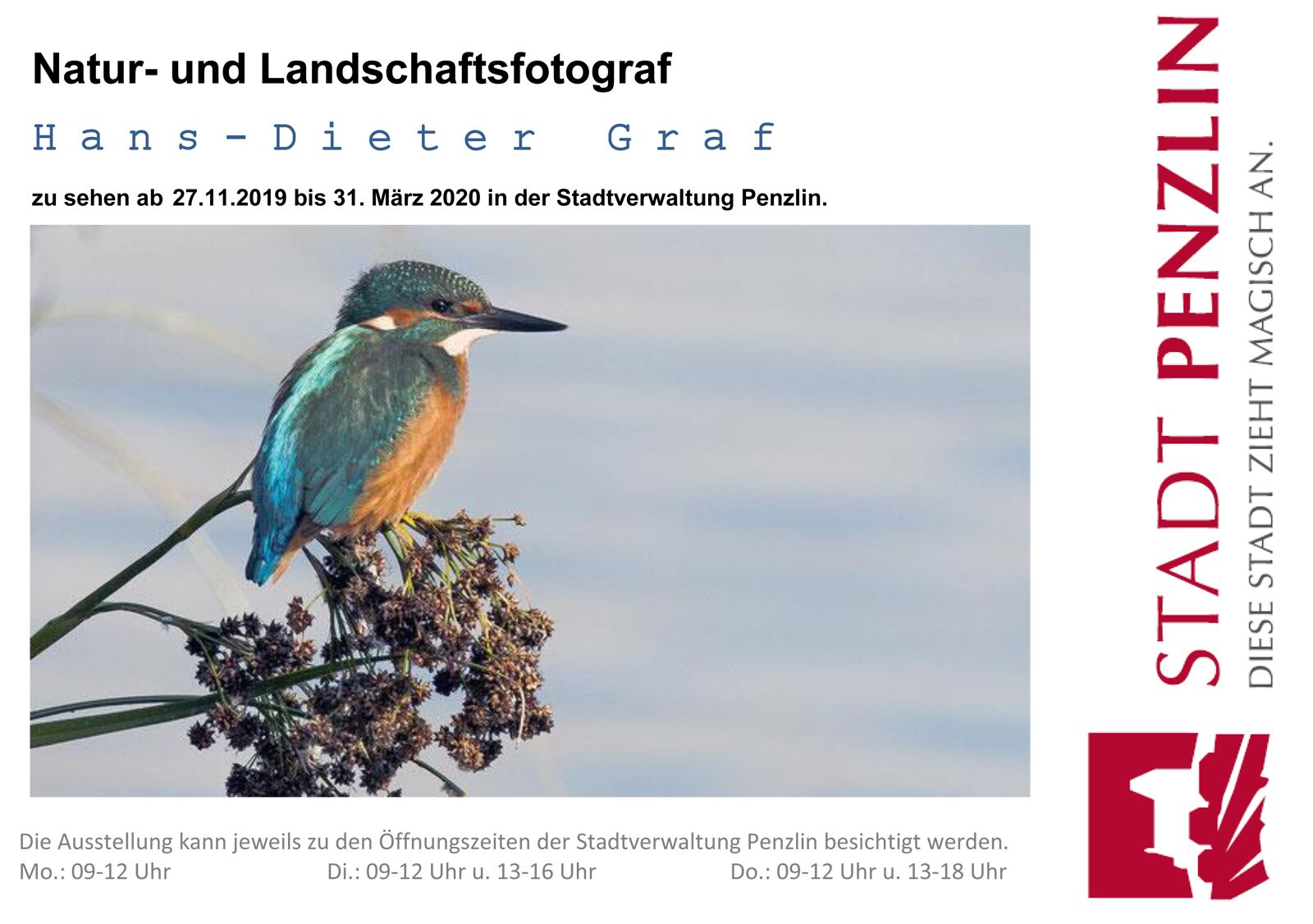 Naturfotos in Penzlin