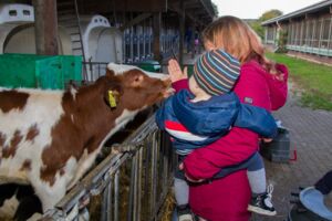 Bauernhof von Matthijs van der Ham