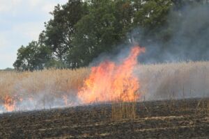 Feuerwehreinsatz bei Erntebrand