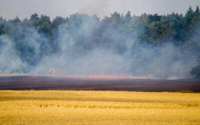 Getreidefeld brennt bei Loppin / Jabel