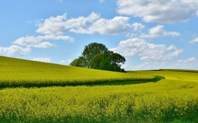 Ökowertpapiere Mecklenburg-Vorpommern