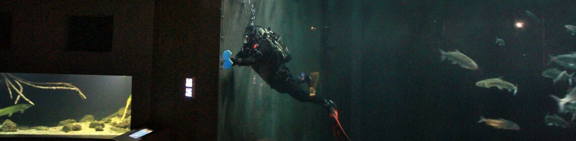 Freizeittipp Mecklenburgische Seenplatte