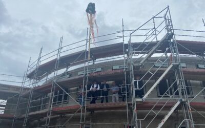 Neue Friedländer Gesamtschule (nfg)