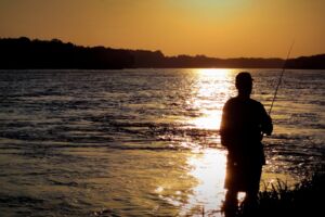 Heringssaison Mecklenburg-Vorpommern