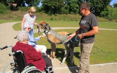 DRK-Pflegeheim Waren (Müritz)