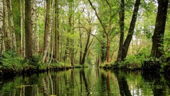 Schaalsee, Flusslandschaft Elbe in Mecklenburg-Vorpommern