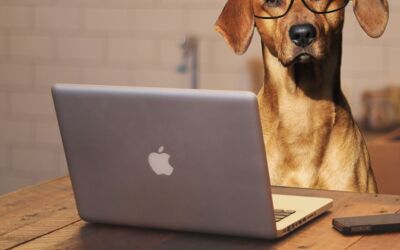 „Nimm-deinen-Hund-mit-zur-Arbeit-Tag“