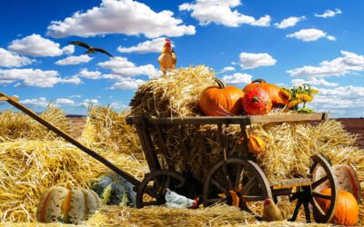 Landeserntedankfest Neu Kaliß