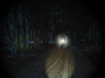 Fahrradlicht kaufen