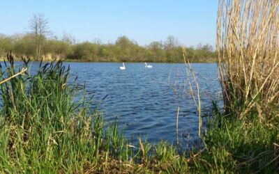 Naturpark Mecklenburg-Vor­pommern
