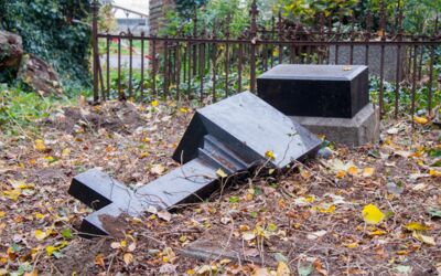 Torenruhe Groß Varchow bei Möllenhagen gestört