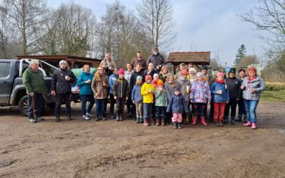 Frühjahrsputz Röbel/Müritz