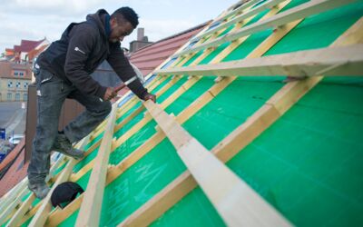 Dachdecker aus Gambia