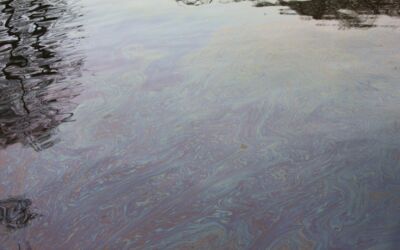 Einsatz Feuerwehren Malchow / Alt Schwerin