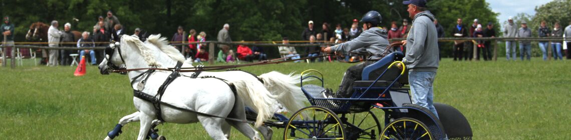 Veranstaltungen in Bollewick