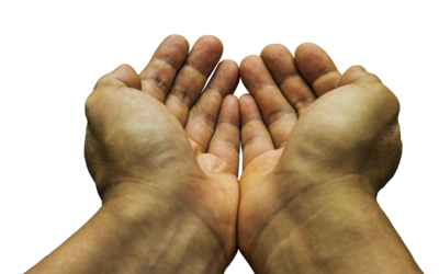 Rumänische Betrügerbande in Waren (Müritz) unterwegs